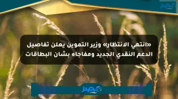 «انتهى الانتظار» وزير التموين يعلن تفاصيل الدعم النقدي الجديد ومفاجأة بشأن البطاقات